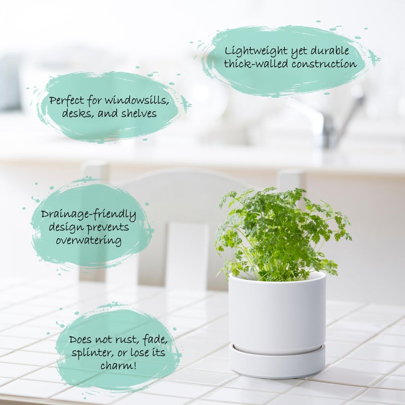 Phoenix Vine 4 Inch Planter Pot with Drainage Hole & Saucer, Deep Water Catch Tray, Straight Cylindrical Round Pot for Plants, Matte White, Pack of 1, 23-B-R-1 - Image 3