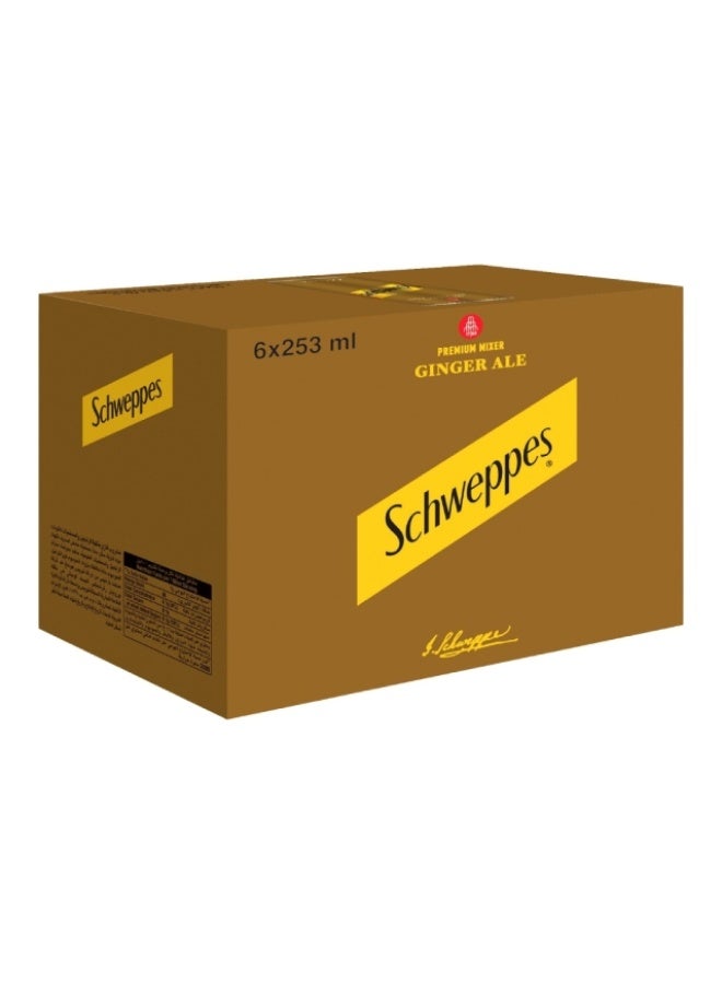 Ginger Ale Soda, 6 x 253ml, UAE