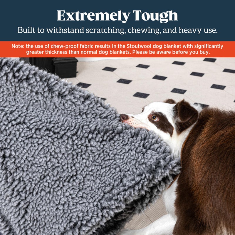 PELZIN Stoutwool Chew Proof Dog Blanket - Heavy Duty Waterproof Pet Blanket - Fluffy Dog Couch Cover Protector for Aggressive Chewers - Soft Reversible Throw Furniture Protection - Small, Charcoal - Image 2