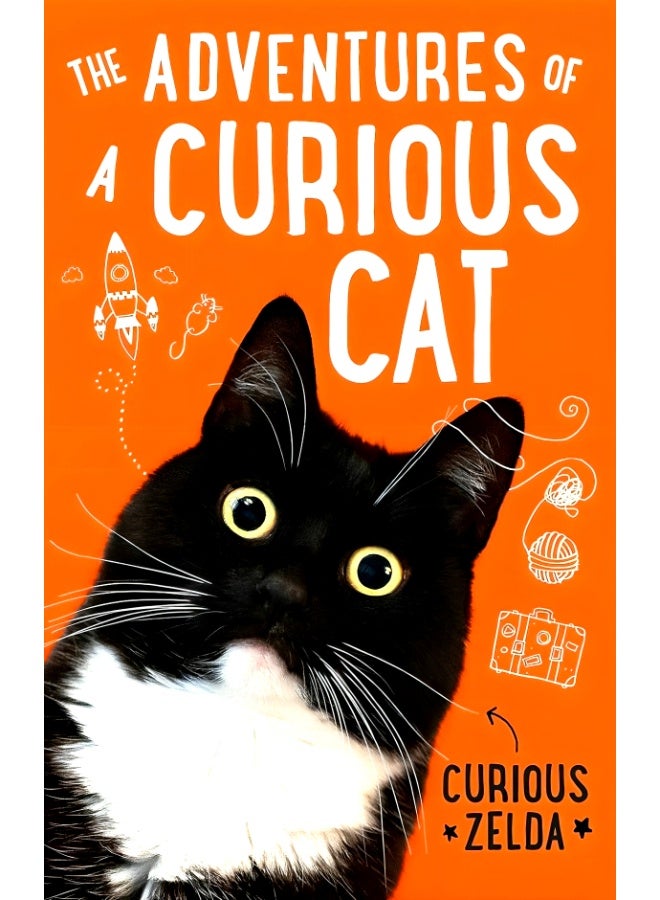 مغامرات قطة فضولية