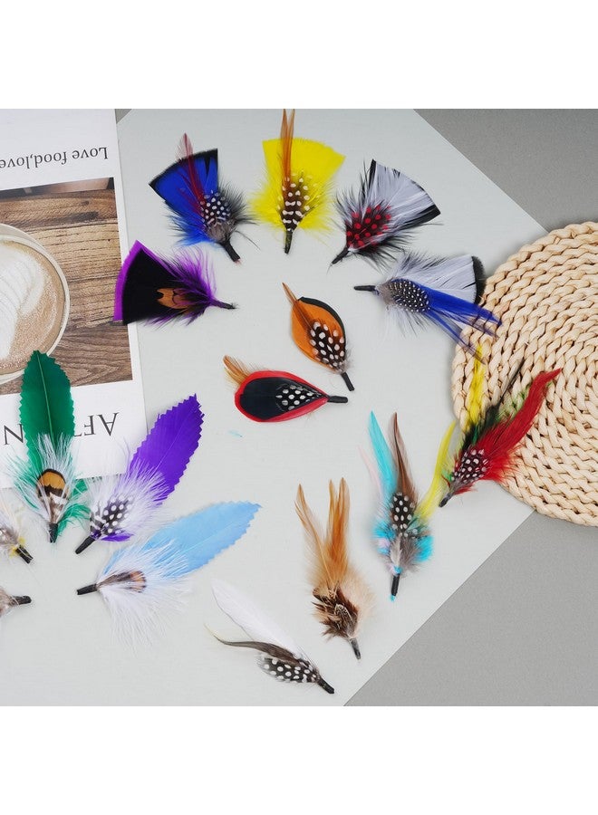 Fengek Hat Feathers For Fedora, Fengek Assorted Colorful Hat Feathers Party Accessories For Cowboy Hats, Trilby Hats - Image 5