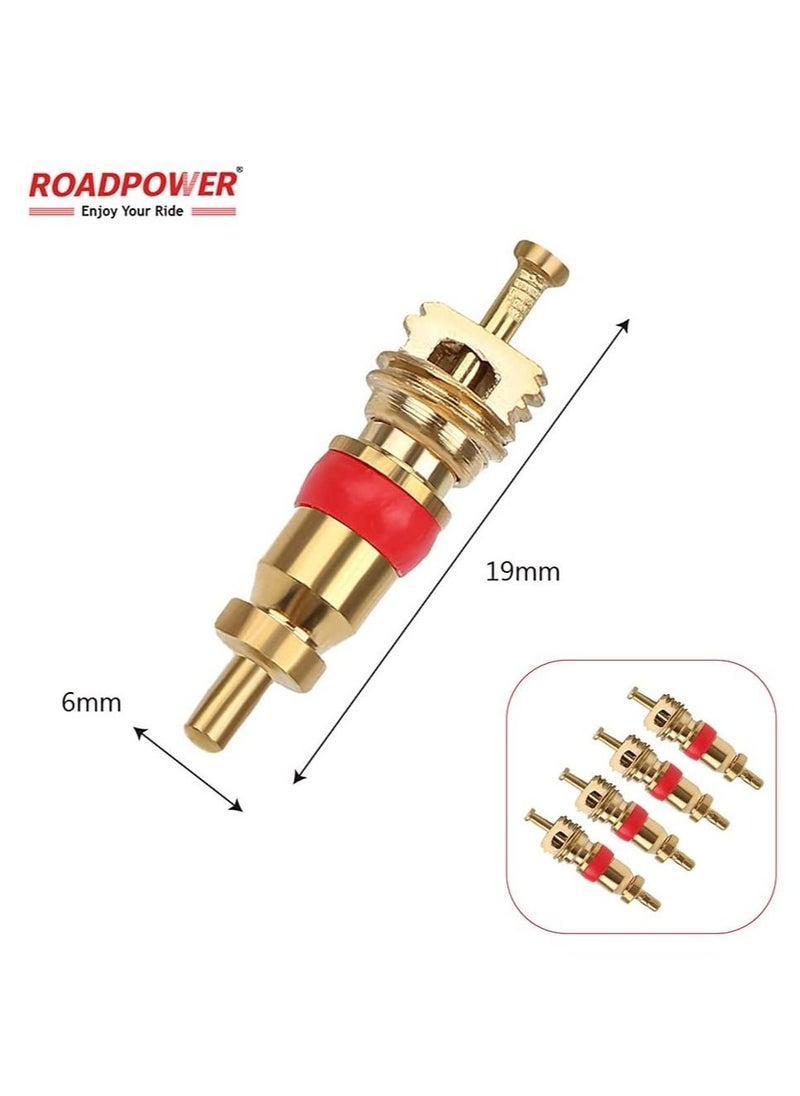 RoadPower - Heavy Duty Rapid Tire defoliators Air Down Off-road Gauge Kit with Precision Release Button RP-TG31 - Image 1