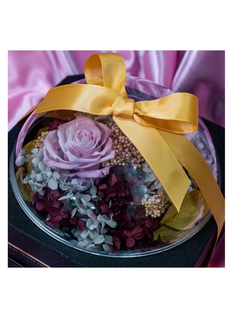   صوفيا طبيعة محفوظة من صوفيا إلى الأبد، وردة أبدية حقيقية في غطاء أكريليك زهرة محفوظة مع صندوق فاخر - هدية لصديقتك والزوجة وعيد ميلاد الزفاف - Image 2