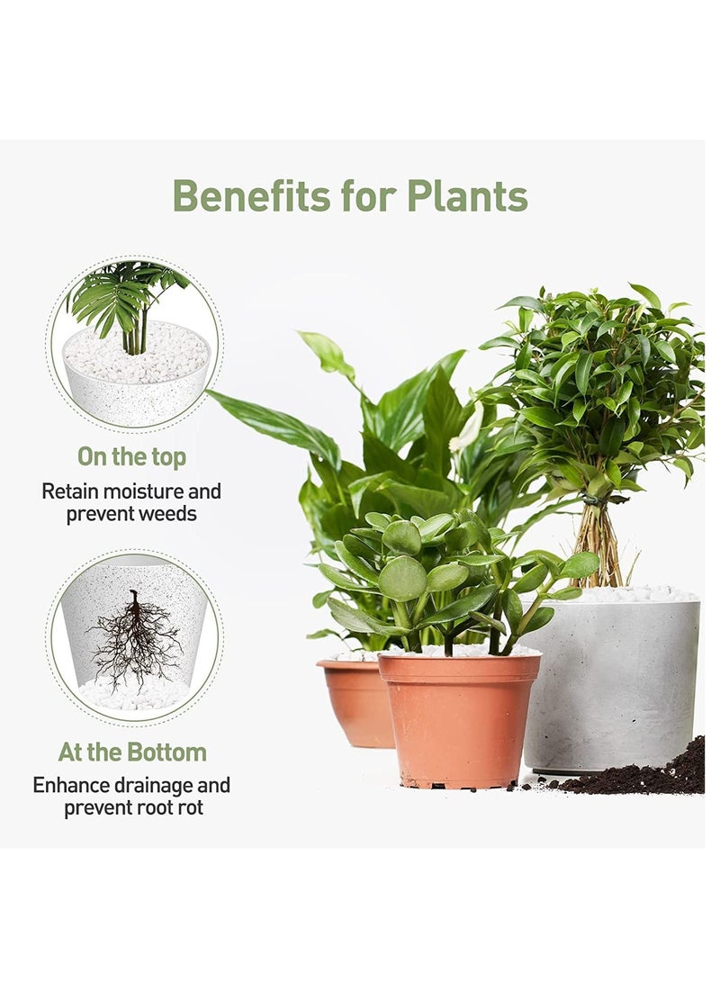 White Decorative Pebbles Natural River Rock Pebbles for Plants, Home DIY Decor,Aquarium Gravel,Vase Fillers,Fairy Garden,Landscaping Outdoor Stones 3-5mm (10KG) - Image 4