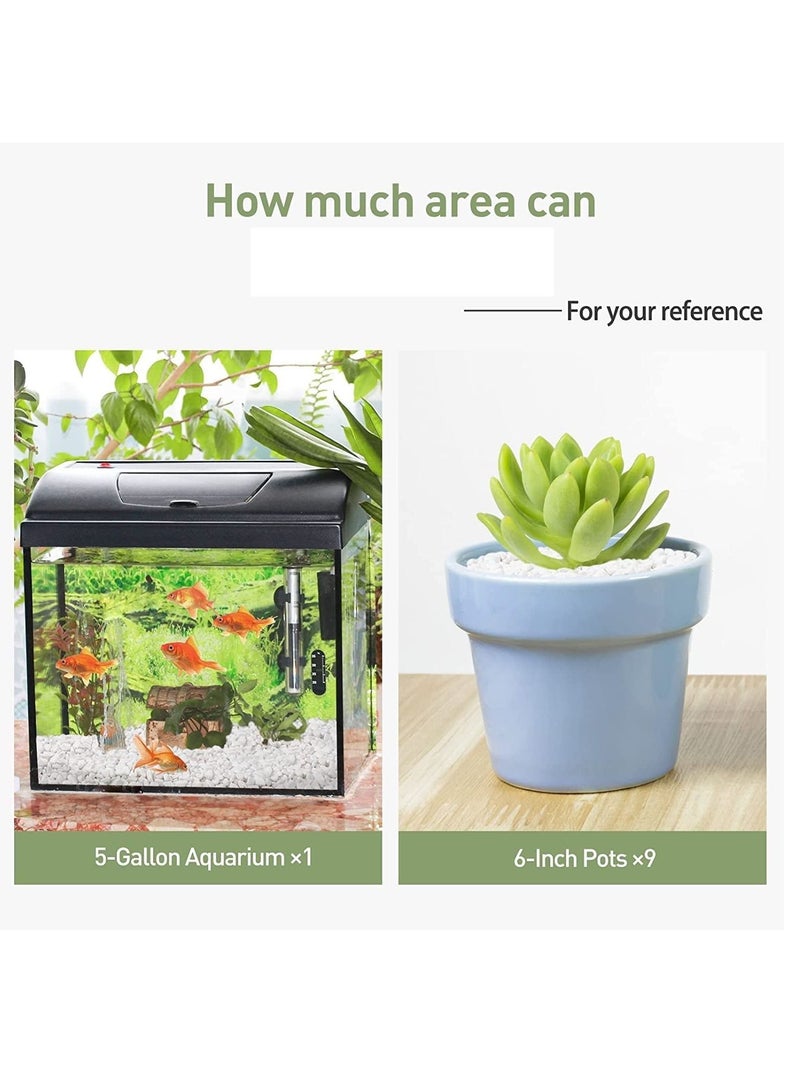 White Decorative Pebbles Natural River Rock Pebbles for Plants, Home DIY Decor,Aquarium Gravel,Vase Fillers,Fairy Garden,Landscaping Outdoor Stones 3-5mm (10KG) - Image 5