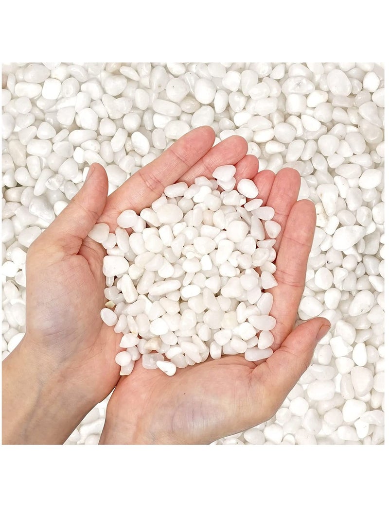 White Decorative Pebbles Natural River Rock Pebbles for Plants, Home DIY Decor,Aquarium Gravel,Vase Fillers,Fairy Garden,Landscaping Outdoor Stones 3-5mm (10KG) - Image 1
