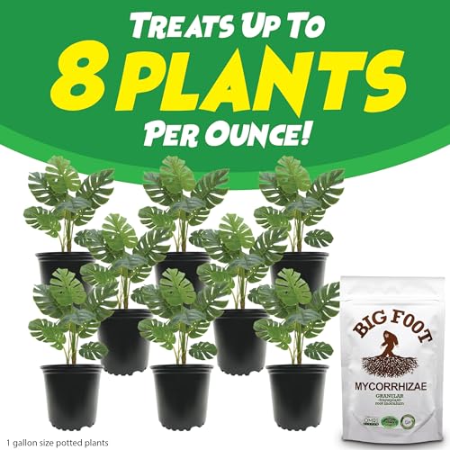 Big Foot Mycorrhizae - Double Your Plant Size – Easy to Use – Made in USA – Treats 30 Plants (7,500 mycorrhizal Spores) - Image 5