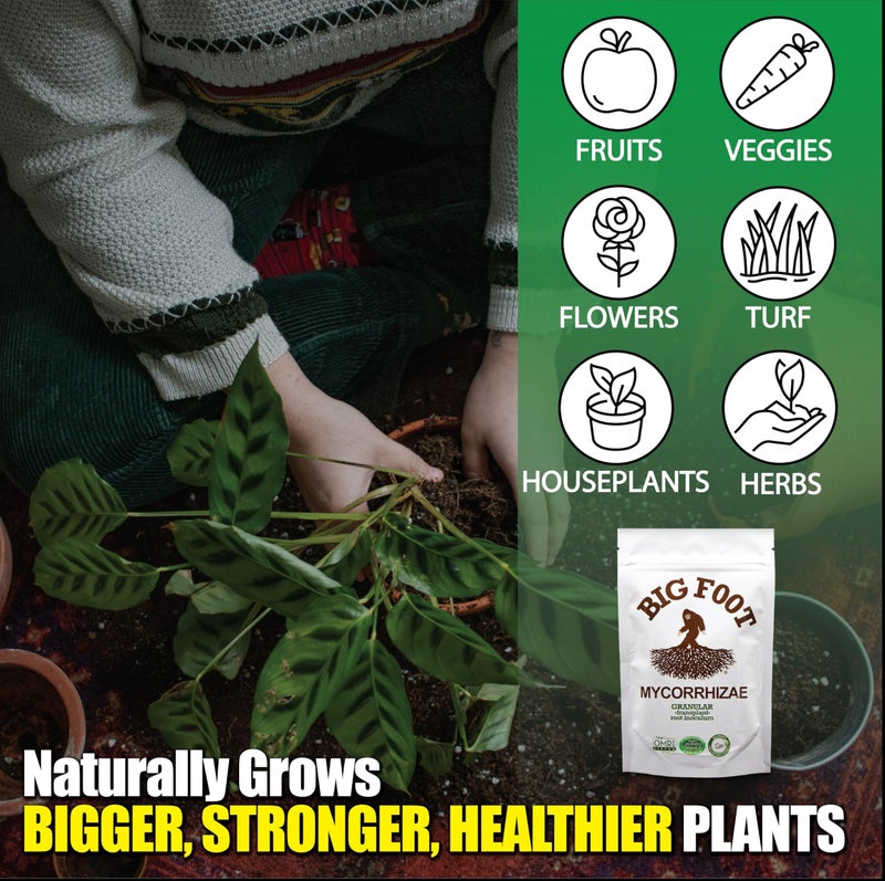 Big Foot Mycorrhizae - Double Your Plant Size – Easy to Use – Made in USA – Treats 30 Plants (7,500 mycorrhizal Spores) - Image 3