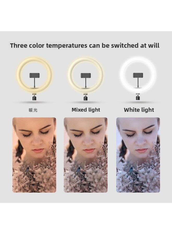 general 26cm Mobile Phone Live Fill Light Tripod Led Ring Light Desktop Selfie Anchor Beauty Photo Desktop Light-Color:10 Inch Fill Light Bracket Bluetooth Remote Control - Image 2