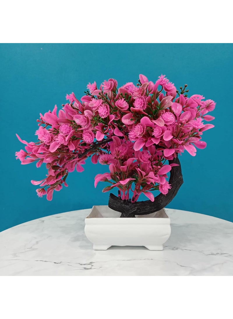 Generic Cherry Plant with Pot Ideal for Office and Home Garden Bonsai Decor  - Image 2