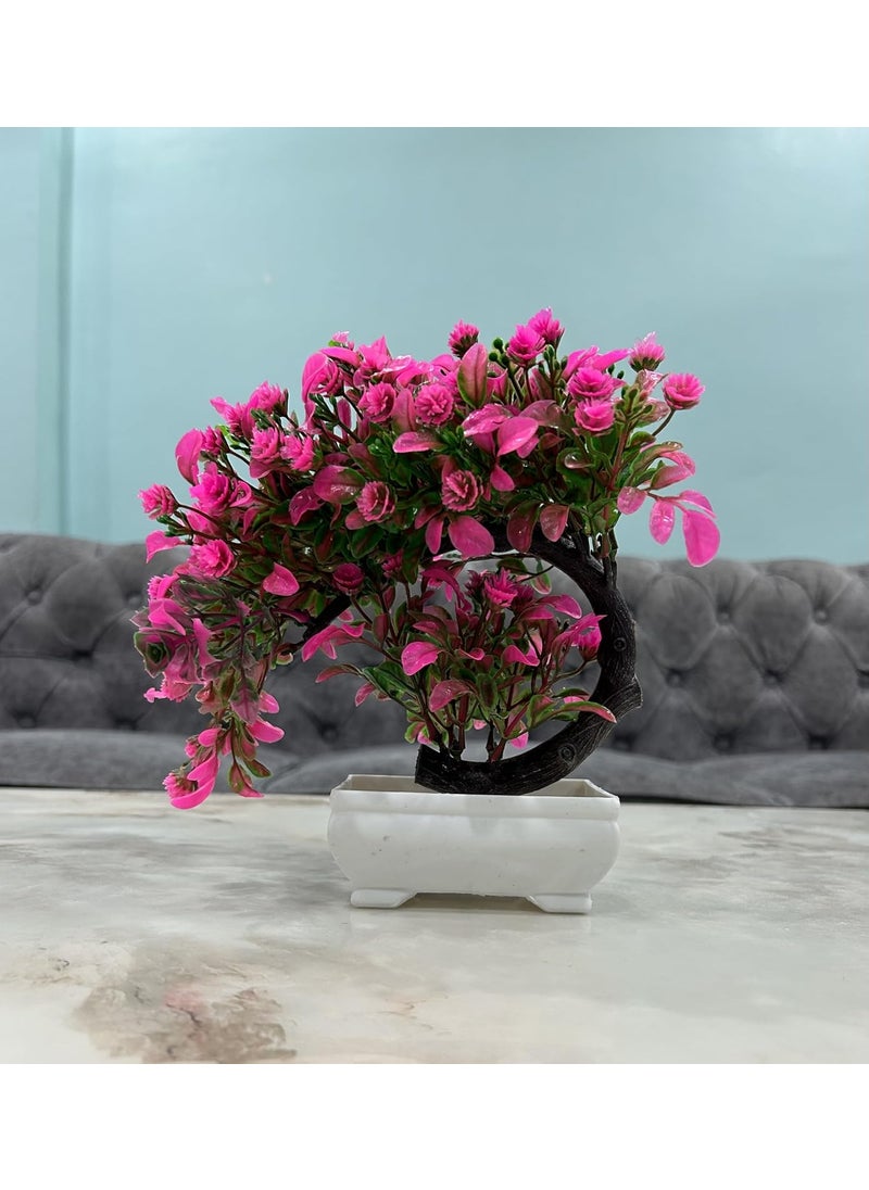 Generic Cherry Plant with Pot Ideal for Office and Home Garden Bonsai Decor  - Image 1