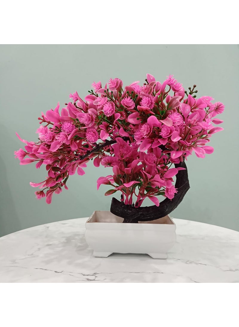 Generic Cherry Plant with Pot Ideal for Office and Home Garden Bonsai Decor  - Image 3