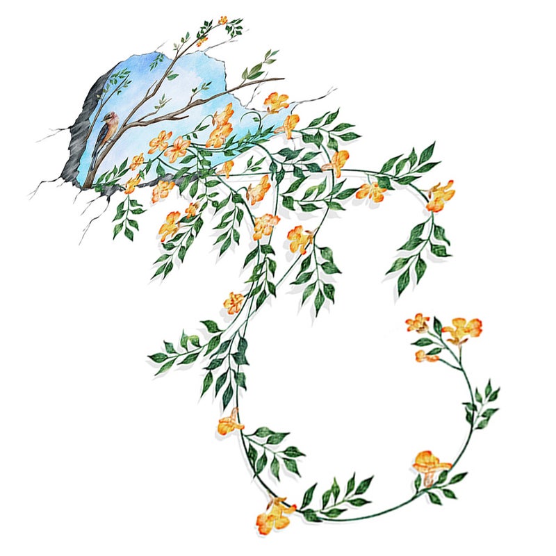 2 Sheets Tree Wall Decals Wall Sticker Hanging Vine Floral Wall Sticker Bedroom Living Room Wall Decor - Image 5