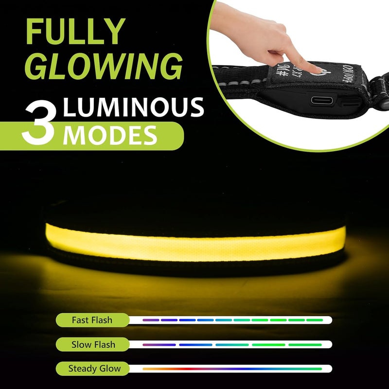 ROUWINNE Extra Small Dog Glow Collar - Adjustable Rechargeable LED Dog Collars, Waterproof Breathable Light Up Dog Collars (Yellow, Pack of 1, XS) - Image 2