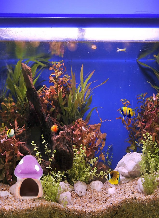 AnRui Ceramic Betta Fish Tank Accessories Decor Cute Mushroom House Aquarium Decoration Hideout Cave Ornament for Small Fish, Shrimp, Goldfish and Reptiles (Purple) - Image 4