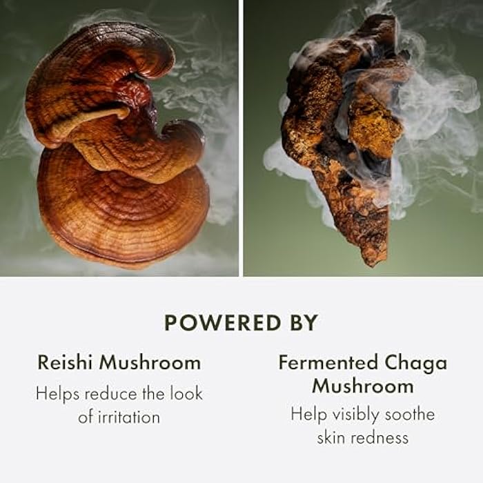 Origins Mega-Mushroom Overnight Recovery Skin Barrier Cream | For Deep Overnight Hydration & Reduced Visible Redness | With Reishi Mushroom, Fermented Chaga Mushroom & Evening Primrose, 1.7 Fl Oz - Image 4