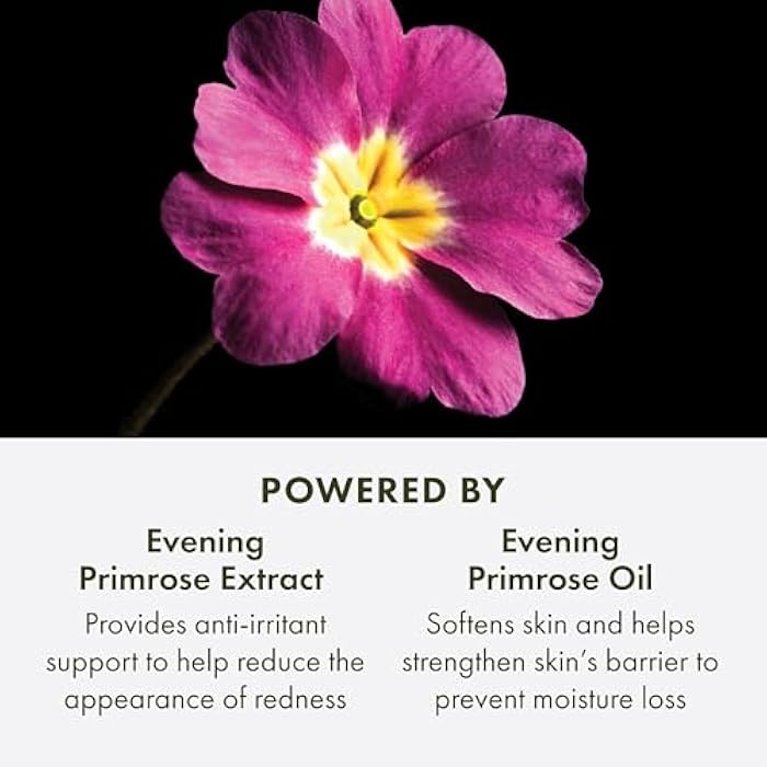 Origins Mega-Mushroom Overnight Recovery Skin Barrier Cream | For Deep Overnight Hydration & Reduced Visible Redness | With Reishi Mushroom, Fermented Chaga Mushroom & Evening Primrose, 1.7 Fl Oz - Image 5
