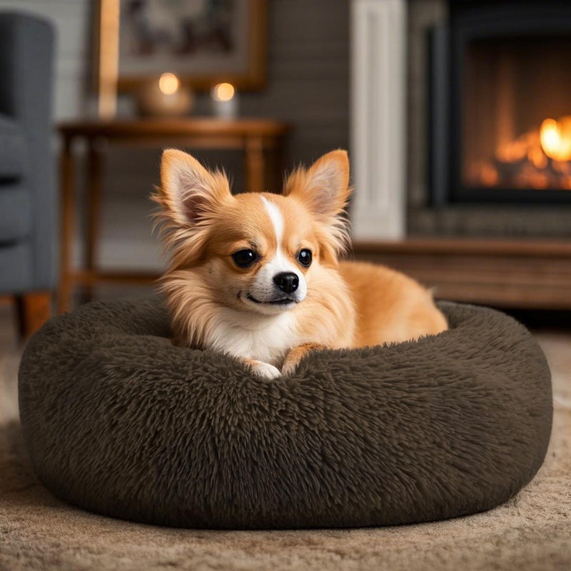 Hoewina Dog & Cat Bed, 20in Cat Beds for Indoor Cats, Calming Donut Bed for Puppy and Kitten, Washable Round Fluffy Pet Bed for Small Medium Dogs and Cats (Coffee) - Image 5