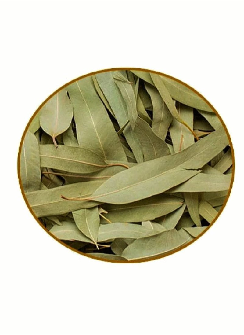 Eucalyptus Leaf Herb 250 Grams - pzsku/ZF3920C7D0DBB18D590B8Z/45/_/1697532874/71dcf728-b0cb-49f8-bac5-4e3f69d674cc