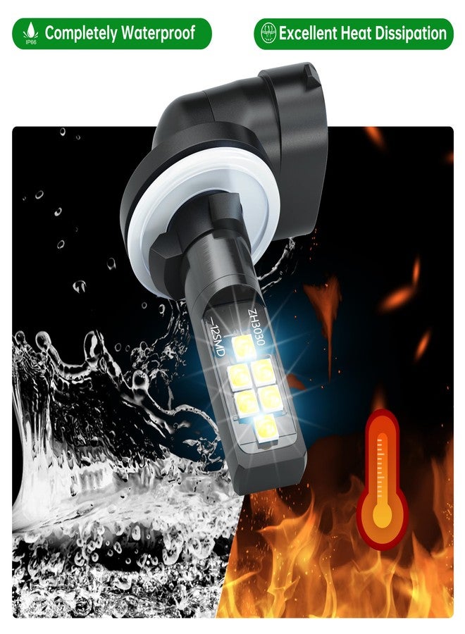 10L0L Golf Cart Headlight Bulb for EZGO 1994+, Club Car DS 1999+ and Club Car Precedent 2004+, 12V Head Light Bulb, Relace OEM 101988101, 74004-G01 Pack of 2 - Image 5