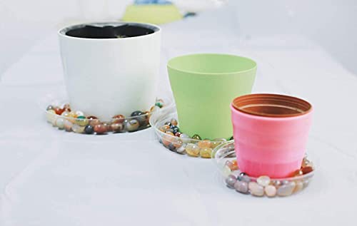 TRUEDAYS 10 Inch 5 Pack Clear Plant Saucers Flower Pot Tray Excellent for Indoor & Outdoor Plants - Image 4