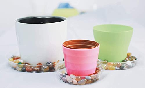 TRUEDAYS 10 Inch 5 Pack Clear Plant Saucers Flower Pot Tray Excellent for Indoor & Outdoor Plants - Image 5