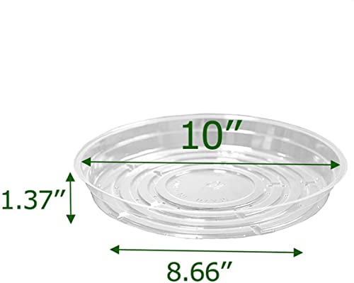 TRUEDAYS 10 Inch 5 Pack Clear Plant Saucers Flower Pot Tray Excellent for Indoor & Outdoor Plants - Image 2