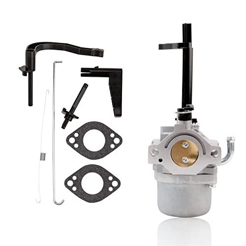 PRUNkuar Carburetor for Briggs & Stratton 5000 5550 6200 8550 10HP GenPower 305 697978 796321 696132 696133 796322 697351 699958 699966 698455 695918 694952 695919 695330 796323 695920 695328 Carburetor - Image 1