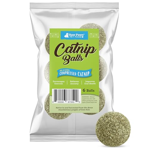 Raw Paws Catnip Balls for Cats 6Count Interactive Cat Toy for Indoor Cats Cat Nip Licking Balls - Image 1