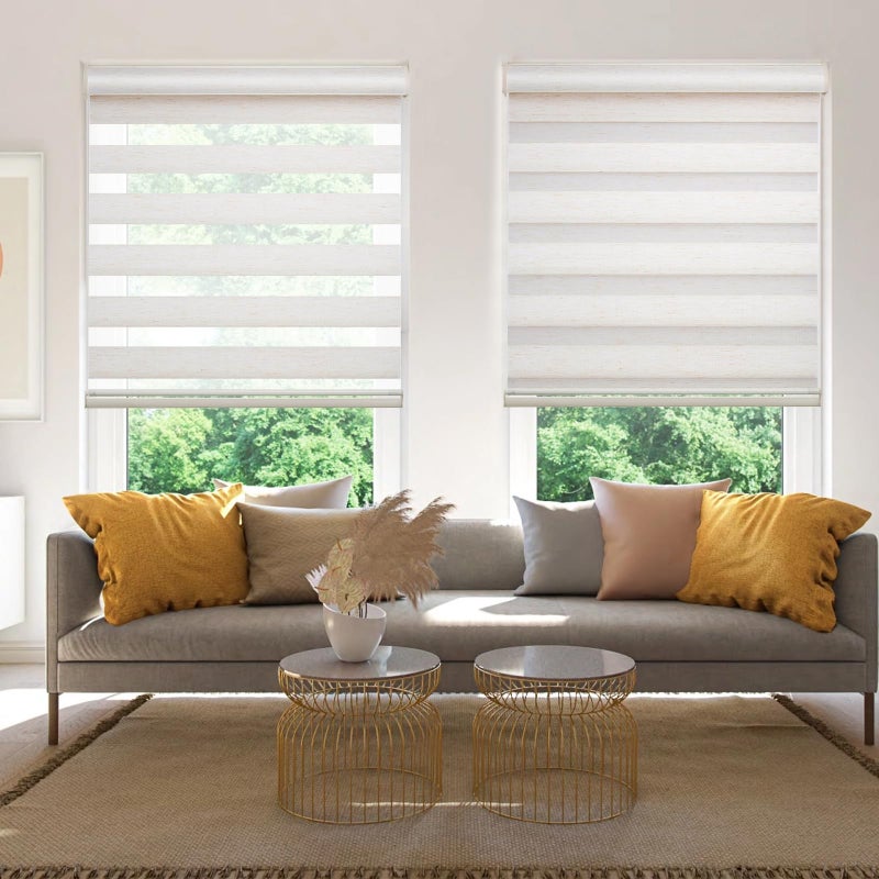 Changshade Cordless Zebra Shades for Windows Pull Down Roller Window Blinds Dual Layer Light Filtering Privacy for Day and NightFreeStop Door Shades for Home Easy to Install20 W72 HBeige