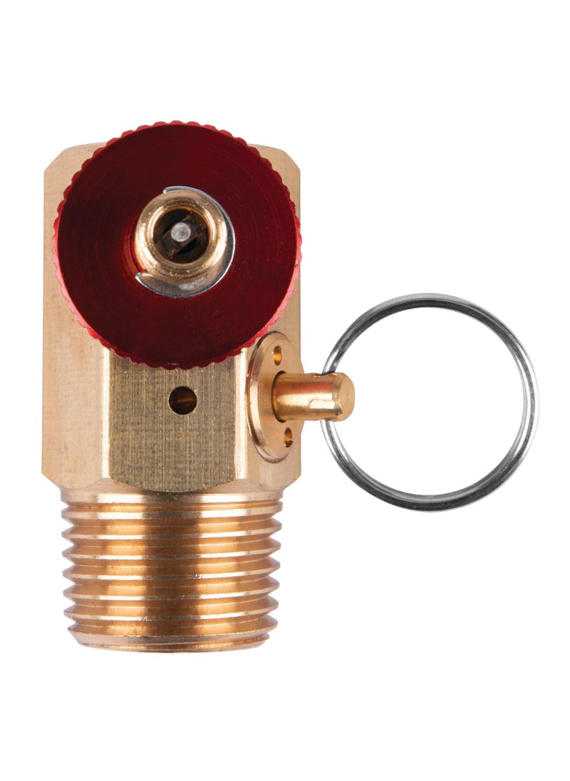 Performance Tool Performance Tool W10056 Air Tank Manifold With Fill Port , Ball Valve, & Relief Bypass , Gold  - Image 3