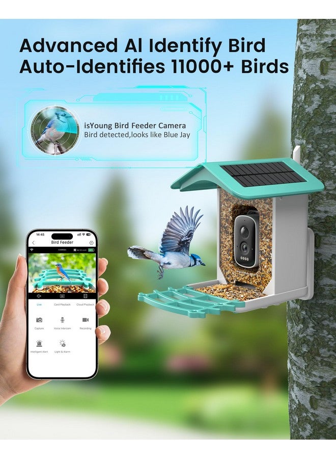 isYoung Smart Bird Feeder Camera (Dual Panel), Solar Powered, Identify 11,000+ Birds with AI, Auto Capture & Notify, 2K HD Footage, Outdoor Bird Watching, Ideal Gift for Birds Lovers. - Image 2