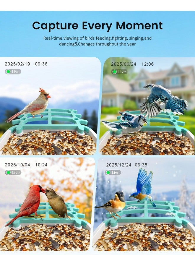 isYoung Smart Bird Feeder Camera (Dual Panel), Solar Powered, Identify 11,000+ Birds with AI, Auto Capture & Notify, 2K HD Footage, Outdoor Bird Watching, Ideal Gift for Birds Lovers. - Image 5
