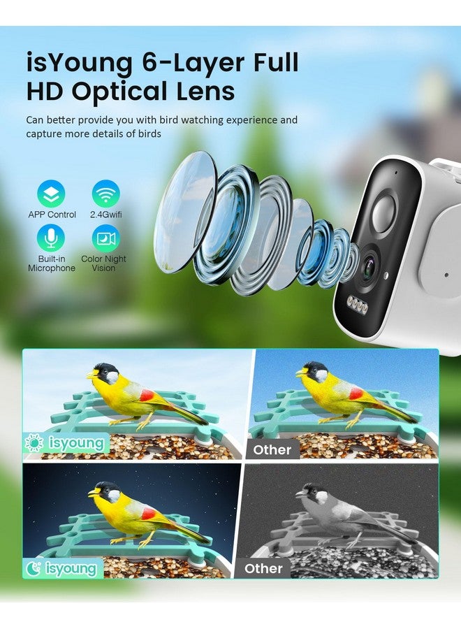 isYoung Smart Bird Feeder Camera (Dual Panel), Solar Powered, Identify 11,000+ Birds with AI, Auto Capture & Notify, 2K HD Footage, Outdoor Bird Watching, Ideal Gift for Birds Lovers. - Image 3