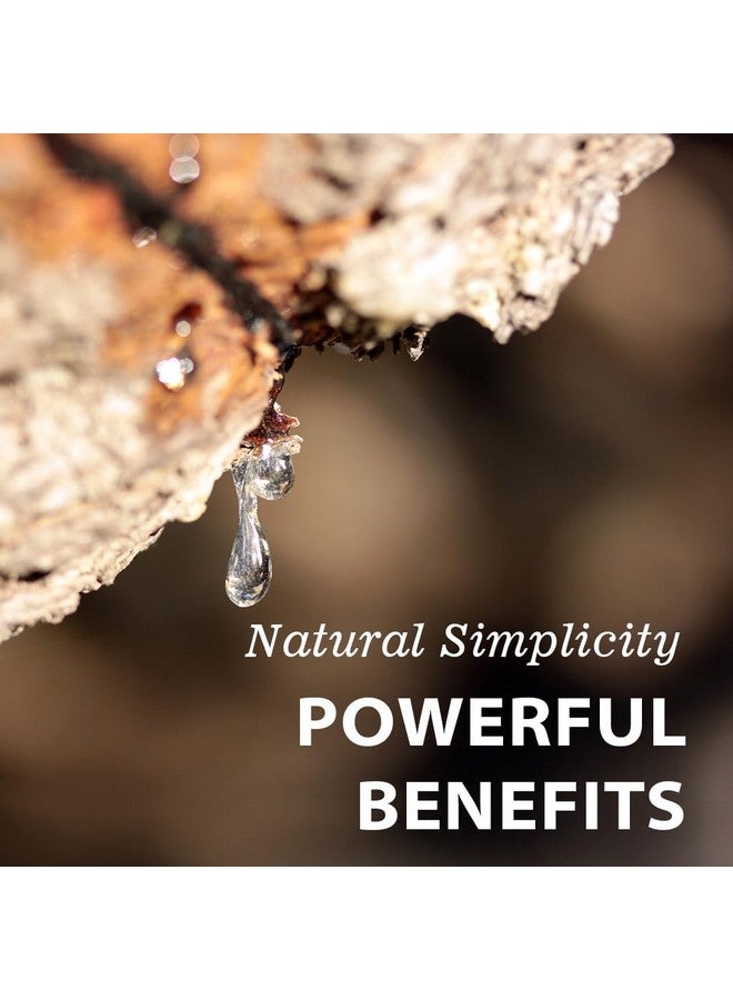 Vitamatic صمغ الماستيك فيتاميناتيك 1000 ملغ لكل حصة - دعم وظيفة الهضم، صحة الجهاز الهضمي، المناعة وصحة الفم، 120 كبسولة - Image 4