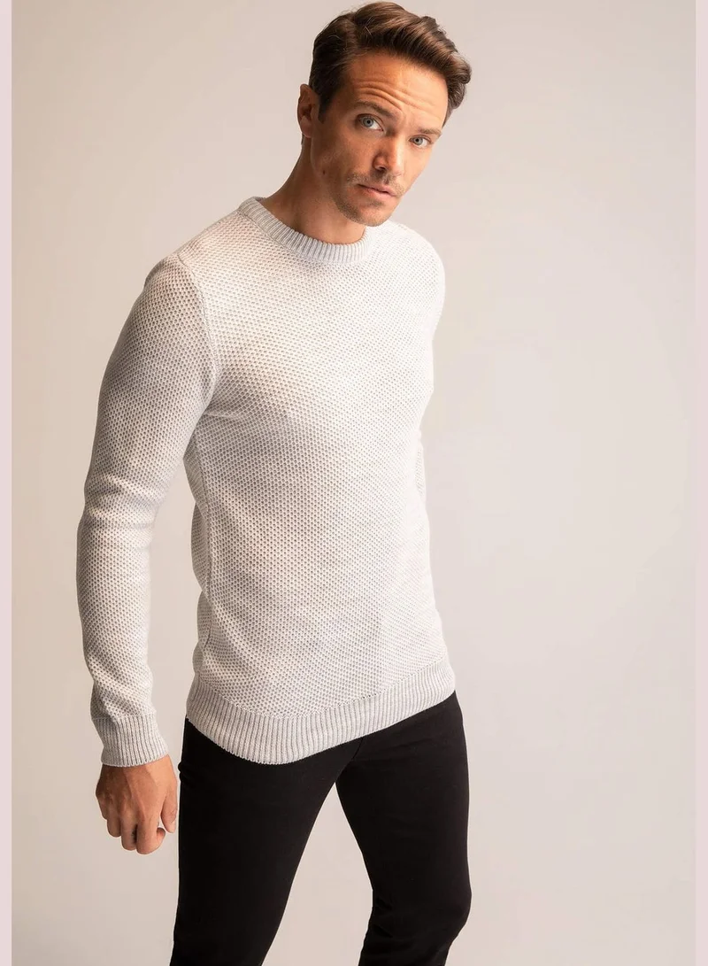 DeFacto Man Regular Fit Tricot Pullover