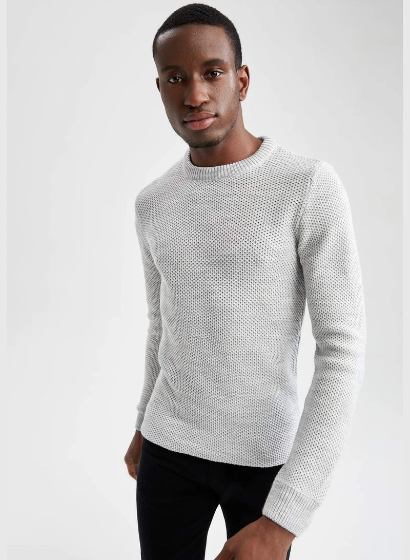 DeFacto Man Regular Fit Tricot Pullover