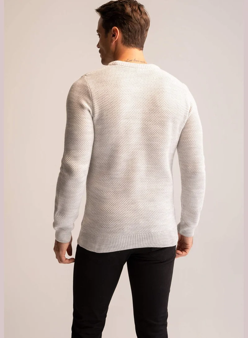 DeFacto Man Regular Fit Tricot Pullover