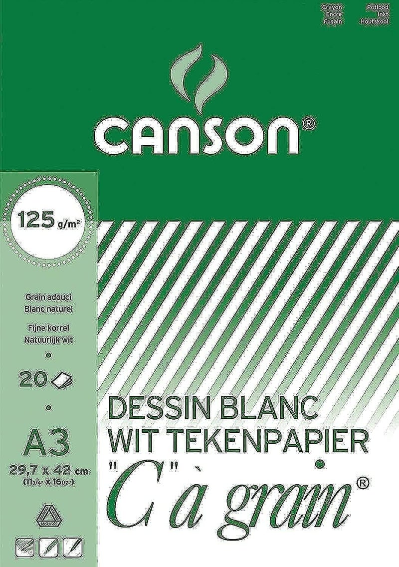 Canson Dessin Drawing Sketch - A3