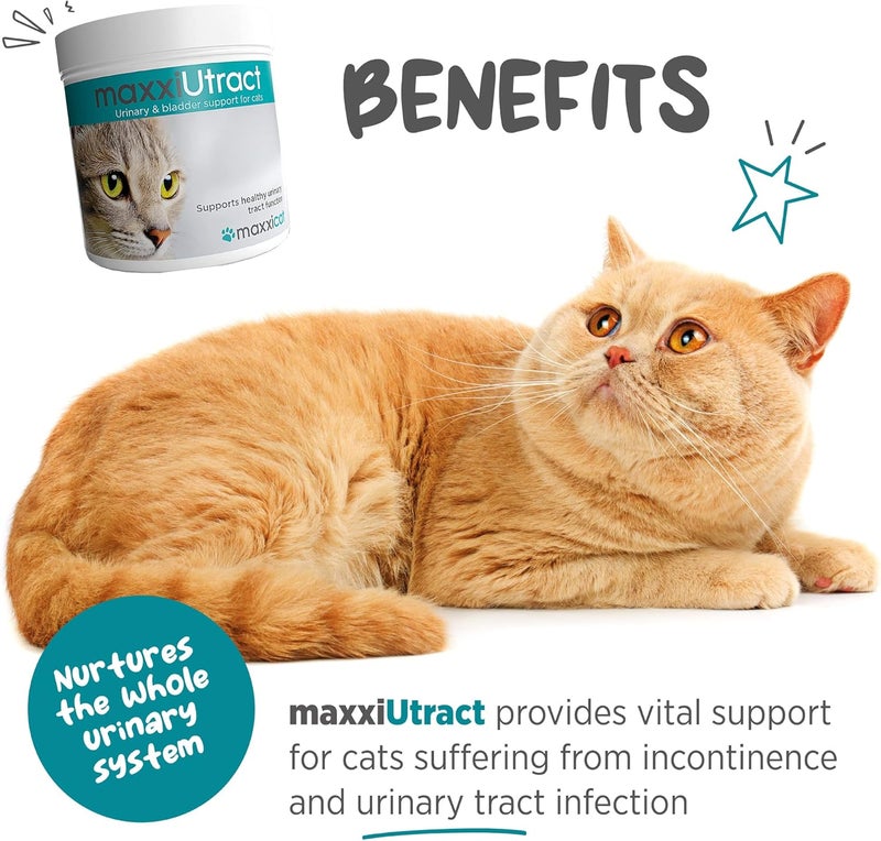 maxxipaws maxxiUtract Urinary Tract and Bladder Support, Powder Form Supplement for Cats, 90 g - Image 2