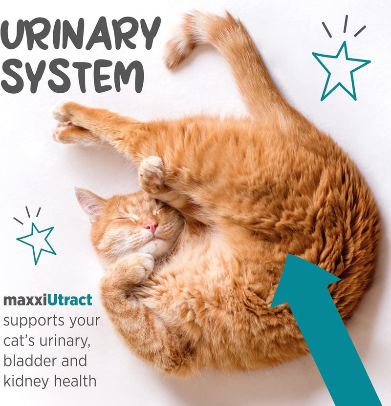 maxxipaws maxxiUtract Urinary Tract and Bladder Support, Powder Form Supplement for Cats, 90 g - Image 4