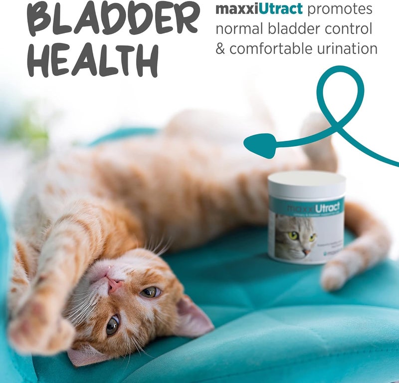 maxxipaws maxxiUtract Urinary Tract and Bladder Support, Powder Form Supplement for Cats, 90 g - Image 5