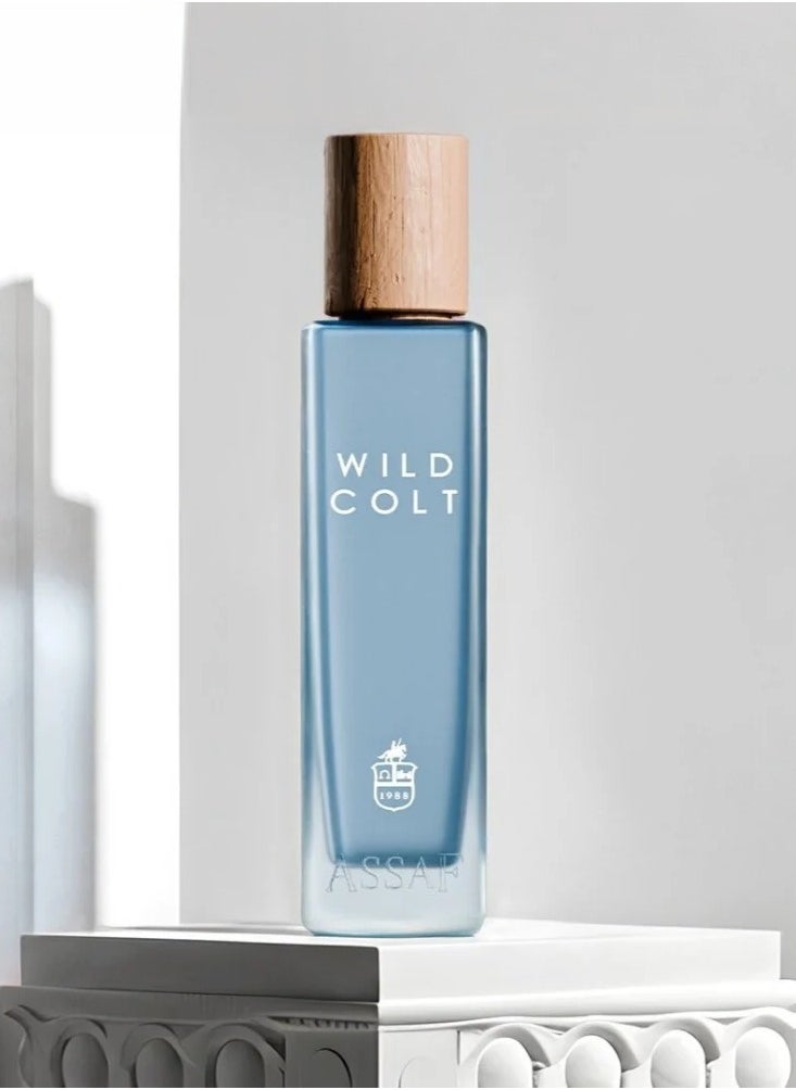 Wild Colt From Assaf 200 ml - pzsku/ZF39B43F216D5AE5F105CZ/45/_/1726308401/7f1ec101-2968-4a2e-9b8a-854e6c52b53d