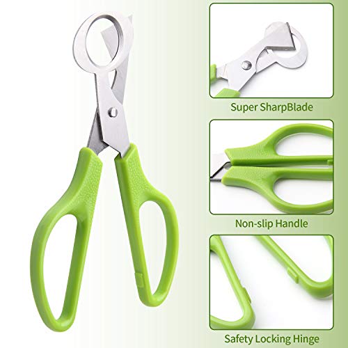 Calary 3Pcs Quail Egg Cutter Scissors Kitchen Egg Shears Tool (Green) - Image 4