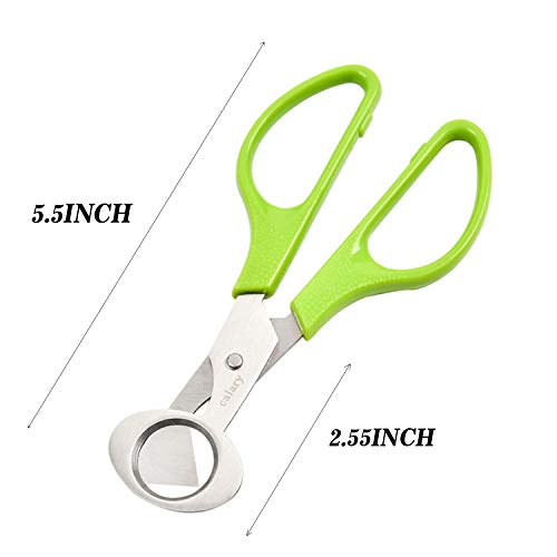Calary 3Pcs Quail Egg Cutter Scissors Kitchen Egg Shears Tool (Green) - Image 2