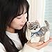 Ditucu Cat Stuffed Animals Cute Soft Kitten Plush Doll Small Kitty Plushies Toys Gifts for Kids Stripe Grey 6 inch - Image 4