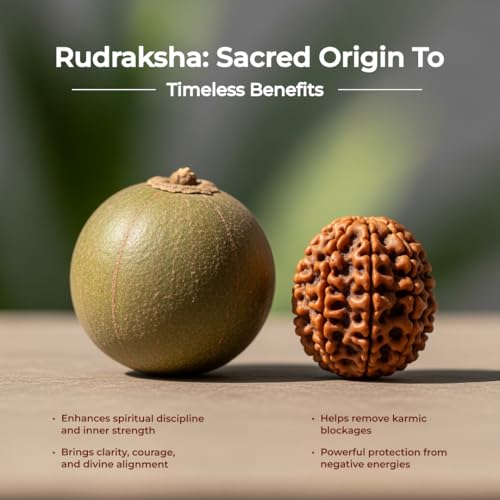 Divine Hindu Gold Plated Rudraksha Chain Bracelet (Black) (8 Inch) | 5 Mukhi Rudraksha Beads Bracelet for Men & Women | Spiritual Rakhi Bracelet for Protection, Meditation & Daily Wear Jewellery - Image 4