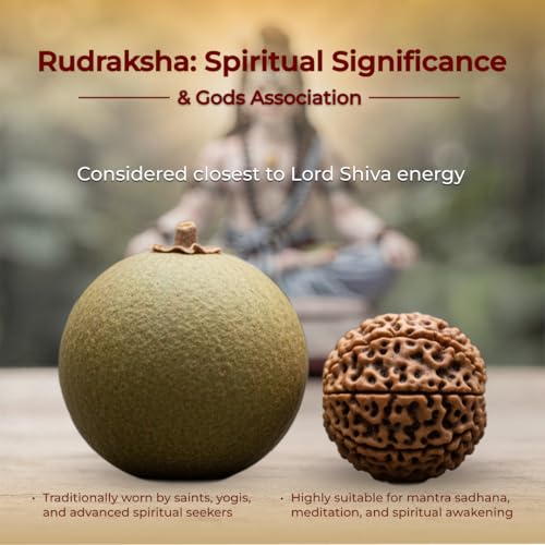 Divine Hindu Gold Plated Rudraksha Chain Bracelet (Black) (8 Inch) | 5 Mukhi Rudraksha Beads Bracelet for Men & Women | Spiritual Rakhi Bracelet for Protection, Meditation & Daily Wear Jewellery - Image 5