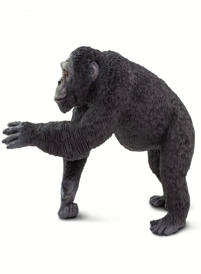 Safari Ltd. Chimpanzee Figurine - Lifelike 4" Primate Figure - Educational Toy for Boys, Girls, and Kids Ages 1+ - Image 4