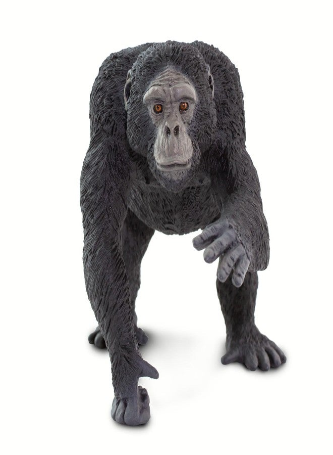 Safari Ltd. Chimpanzee Figurine - Lifelike 4" Primate Figure - Educational Toy for Boys, Girls, and Kids Ages 1+ - Image 5